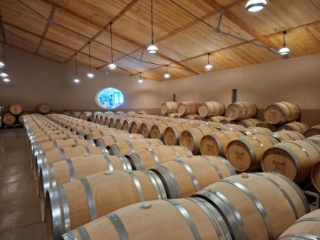 2025 Bordeaux
