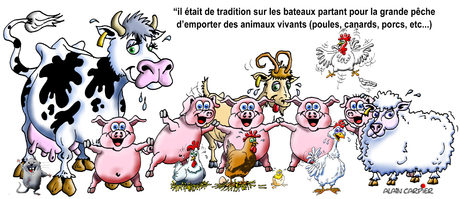 Dessins