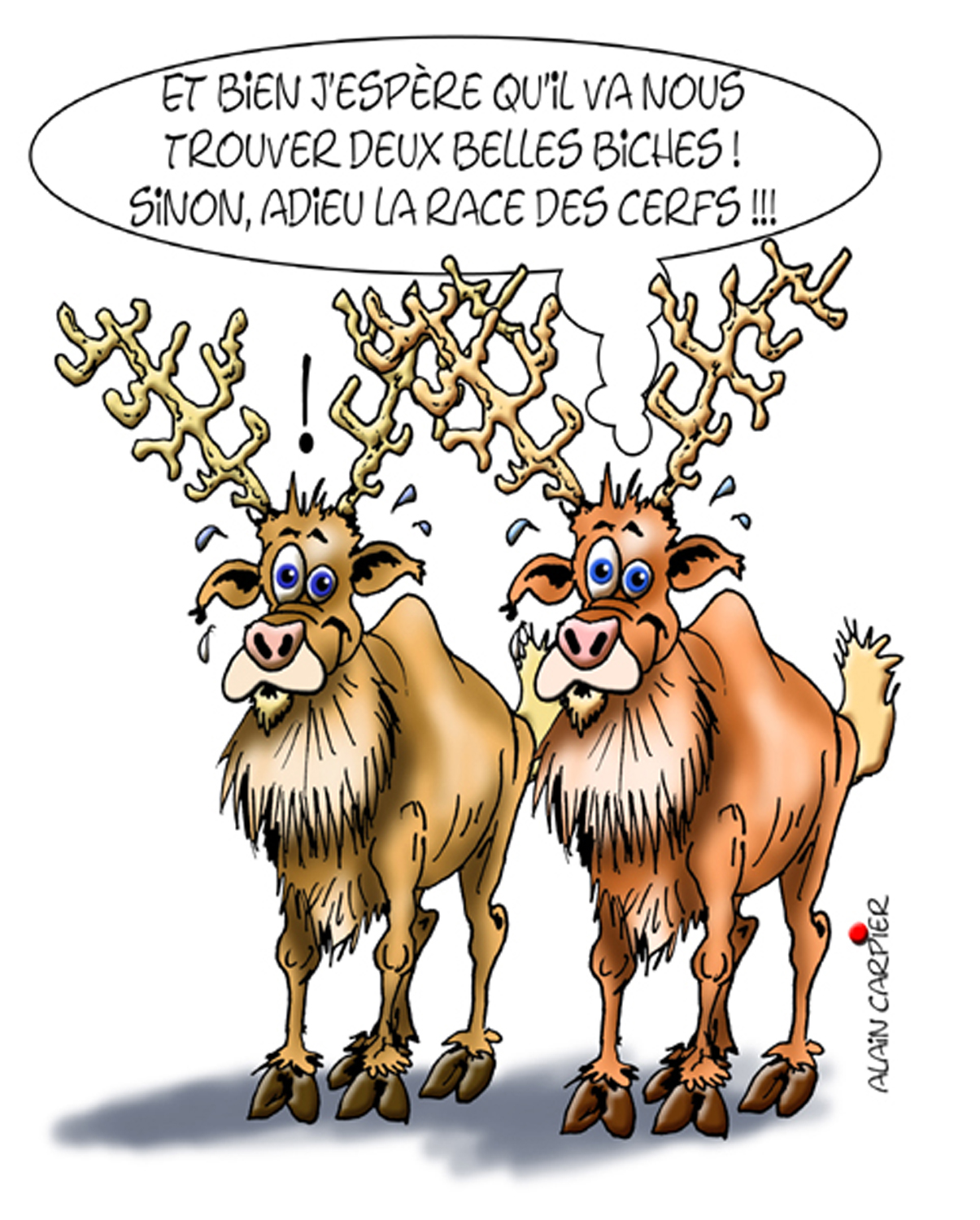 Dessins