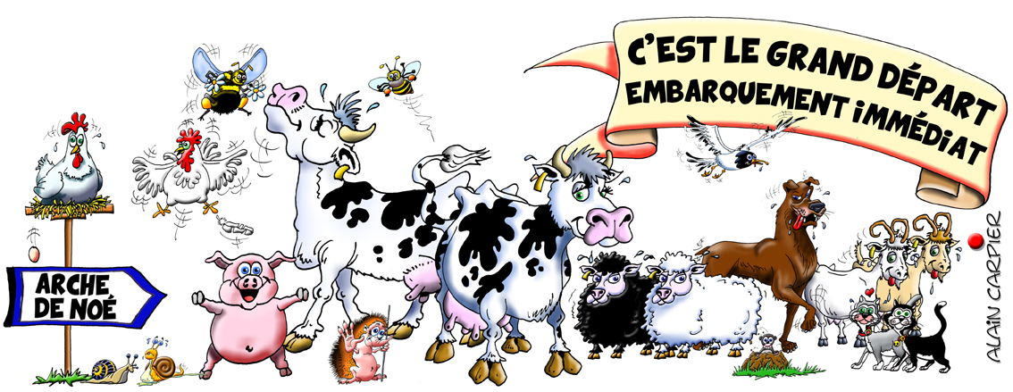 Dessins