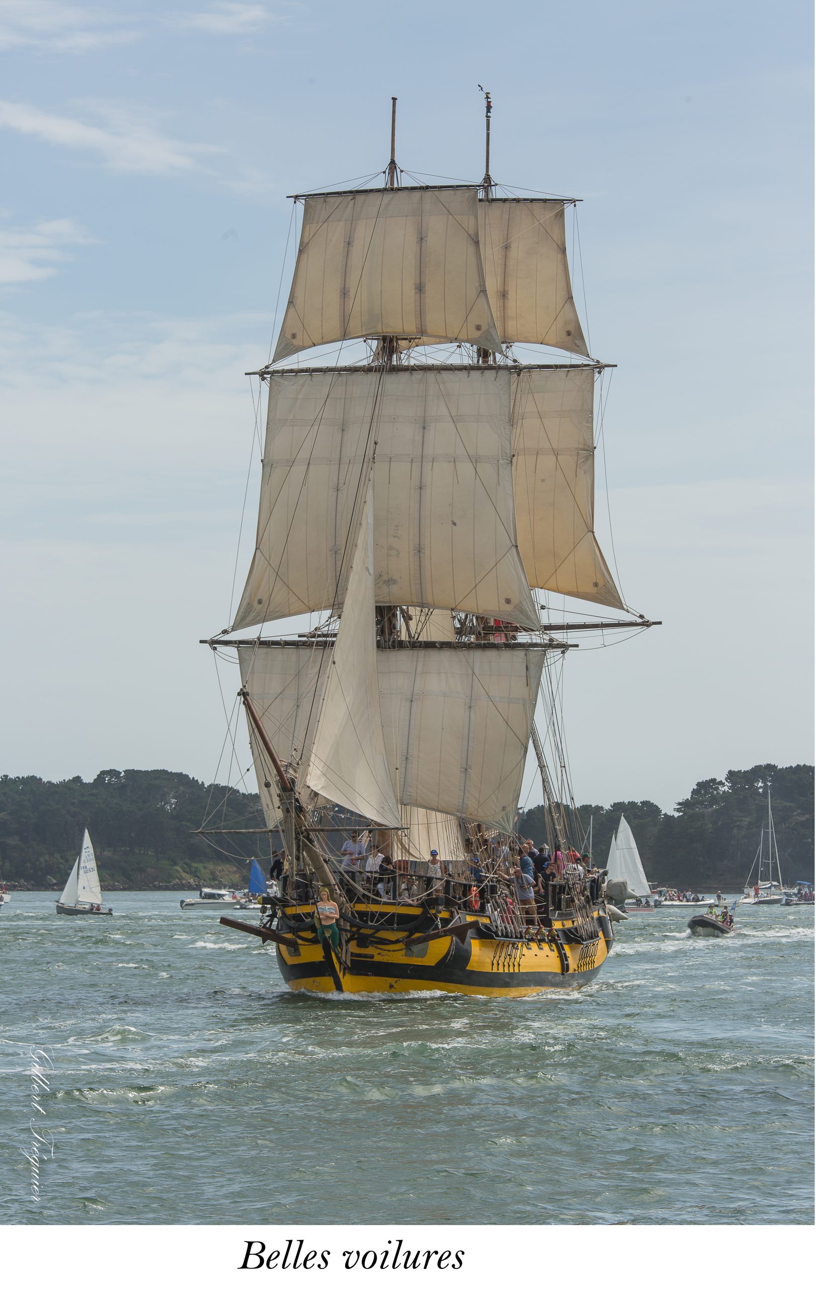 2017 Vannes